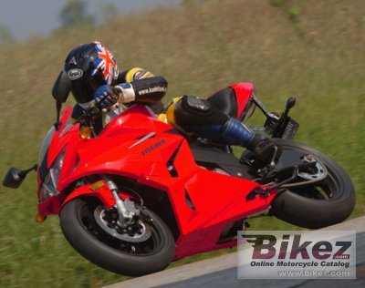 2008 Fischer MRX 650 photo